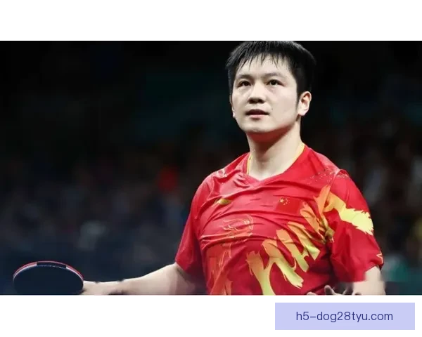 樊振东逆转贾哈萨尔布吕肯首胜