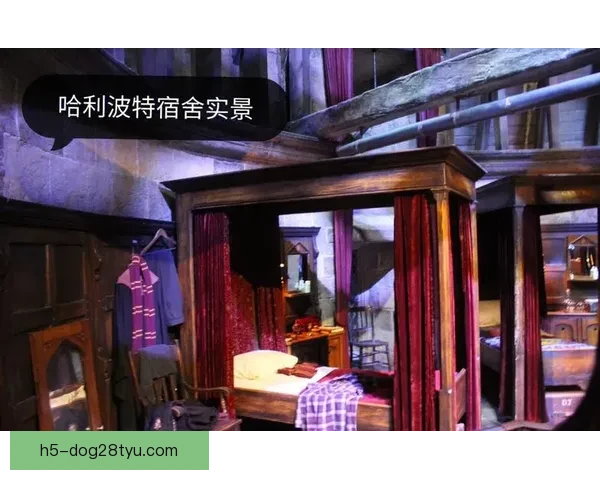 加维惊叹:这是哈利波特主题酒店吗 加维惊叹:这是哈利波特主题酒店吗